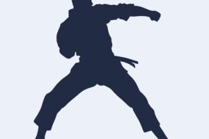 flat design sport silhouettes 23 2150785639 1